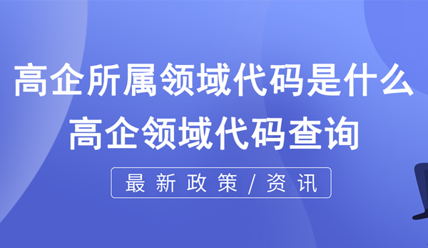 高企所屬領(lǐng)域代碼是什么？