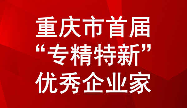 重慶市首屆“專(zhuān)精特新”中小企業(yè)優(yōu)秀企業(yè)家