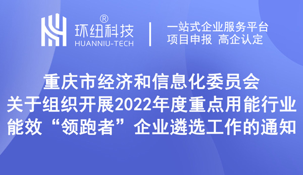 2022年度重點用能行業(yè)能效領跑者企業(yè)遴選工作