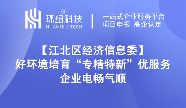 專精特新企業(yè)培育