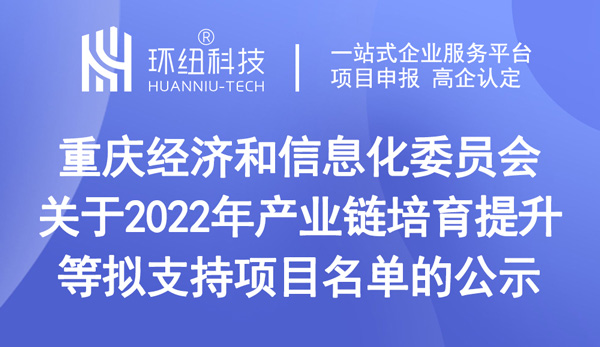 重慶2022年產(chǎn)業(yè)鏈培育提升等擬支持項目名單