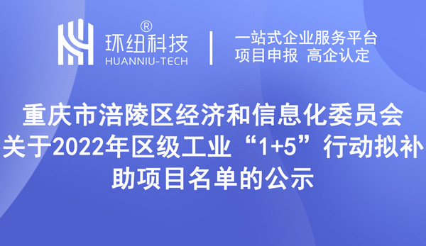 涪陵區(qū)工業(yè)發(fā)展“1+5”行動專項資金補助