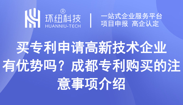 買專利申請高新技術企業(yè)有優(yōu)勢嗎