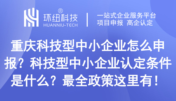 重慶科技型中小企業(yè)怎么申報(bào)