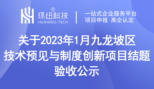 九龍坡區(qū)技術(shù)預(yù)見與制度創(chuàng)新項(xiàng)目結(jié)題驗(yàn)收公示