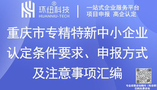 重慶市專精特新中小企業(yè)認(rèn)定