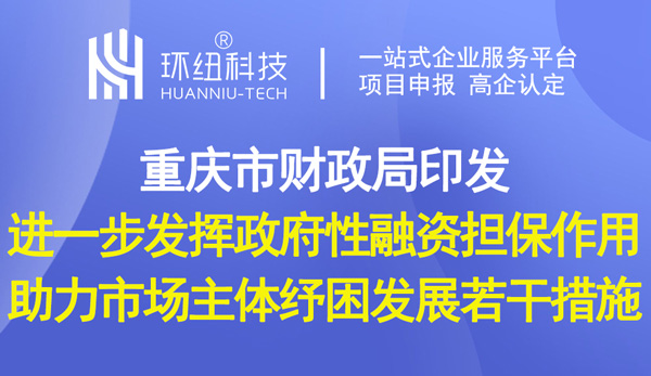 進一步發(fā)揮政府性融資擔保作用 助力市場主體紓困發(fā)展若干措施