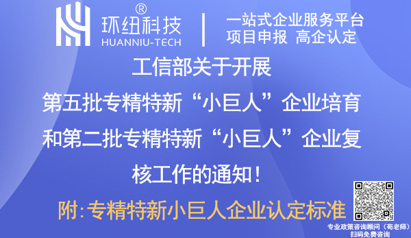 專精特新小巨人企業(yè)培育及復核