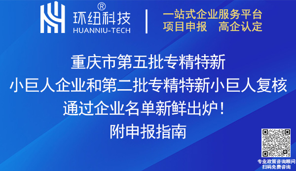 重慶專精特新小巨人企業(yè)認(rèn)定復(fù)核名單