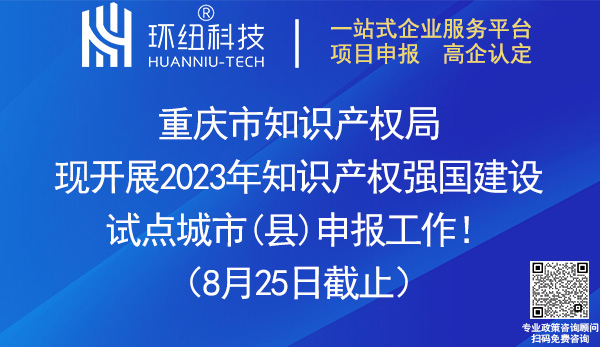 2023年知識產(chǎn)權(quán)強(qiáng)國建設(shè)試點(diǎn)城市縣申報(bào)