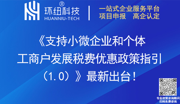 支持小微企業(yè)和個體工商戶發(fā)展稅費優(yōu)惠政策指引(1.0)