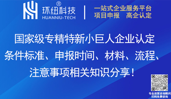 國(guó)家級(jí)專精特新小巨人企業(yè)認(rèn)定