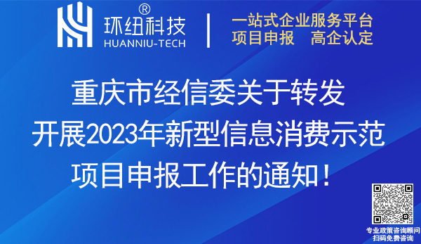 2023年新型信息消費(fèi)示范項(xiàng)目申報(bào)